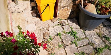 B&B Il giardino dei sospiri