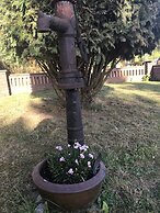 Schwalbe in der Heide