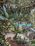 Ecolodge Mombret Haut