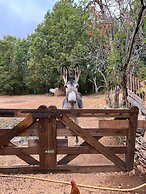 Ecolodge Mombret Haut