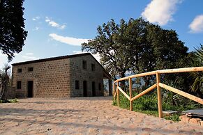 Le due querce