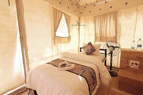 Amazing Desert Camp