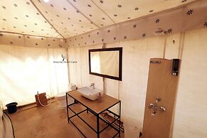 Amazing Desert Camp