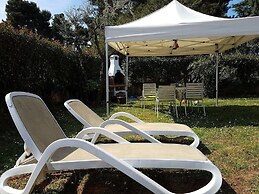 Apartment Frankovic
