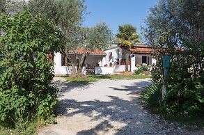 Apartment Frankovic