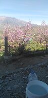 Farm stay Ali - Hostel