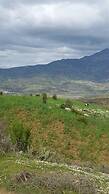 Farm stay Ali - Hostel