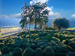 La Bayardine