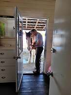 Woodhouse Cottages and Ranch