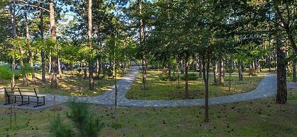 Park Hotel Berezka