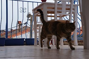 Kelebek Ayvalık