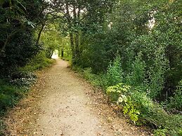 Rathescar Grove