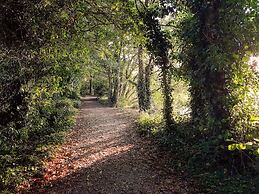Rathescar Grove