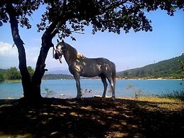 Les Gites du Lac - Chambre d'hotes