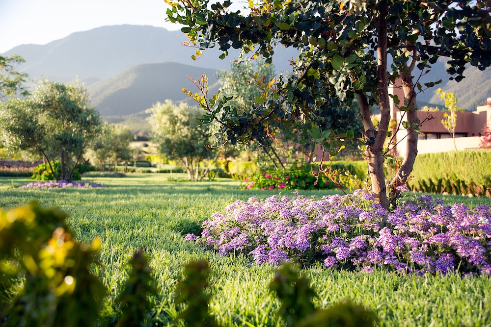 L' Amandier Hotel & Villas