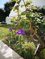 Sensations Guesthouse