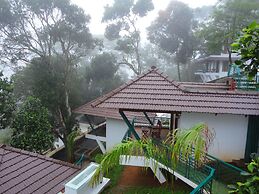 Forest Canopy