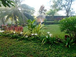 Bee Line Home Stay