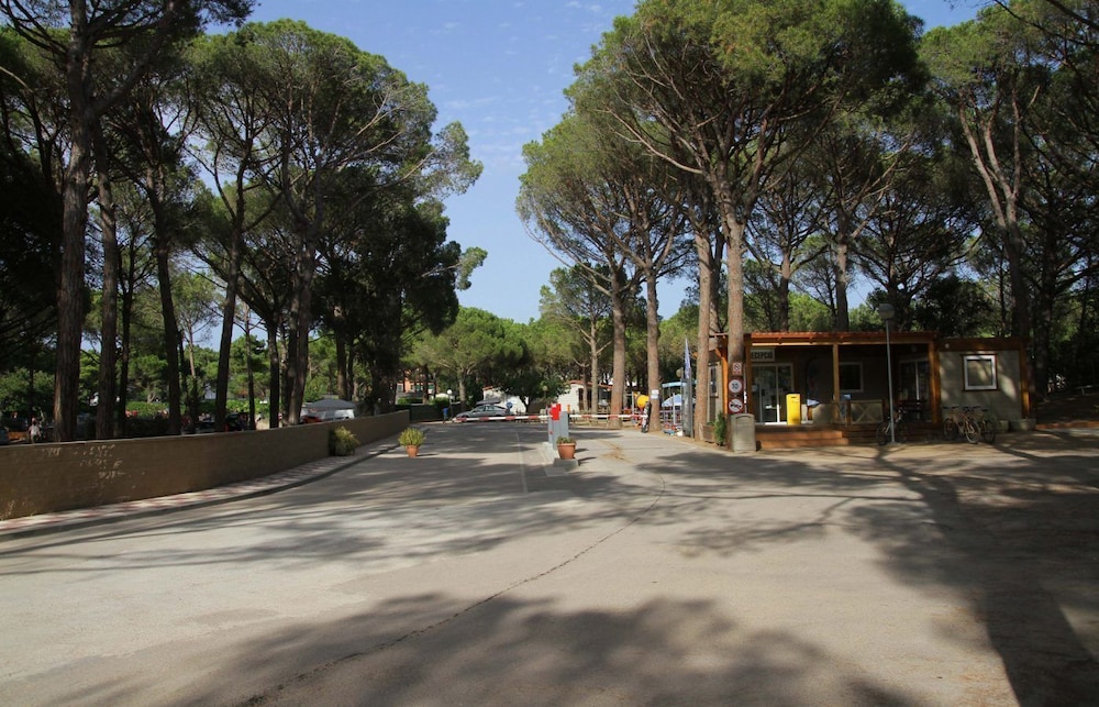 Camping Neptuno