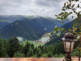 Uzungol Yesil Kosk Hotel