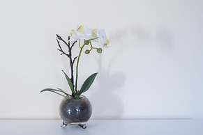 FeelCoimbra Castelo Boutique Apartments