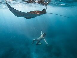 Ocean Brothers