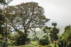 Thotalagala