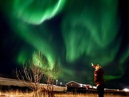 Arctic Wind