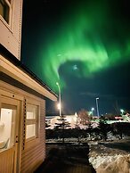 Arctic Wind