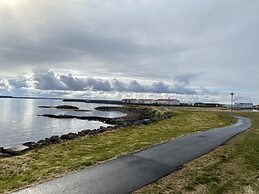 Arctic Wind