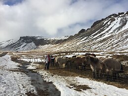 Arctic Wind
