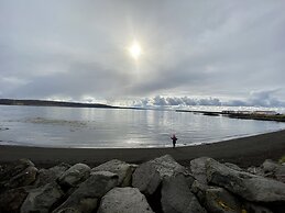 Arctic Wind
