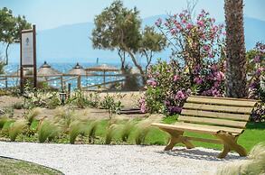 Glaronissi Beach