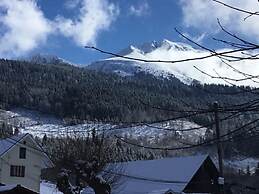 Le Grand Joly