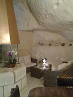 Manoir des Roches 41