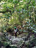 Arangala Forest Lodge