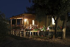 Amadria Park Camping Mobile Homes