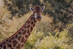 Garonga Safari Camp