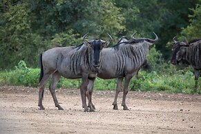 Garonga Safari Camp