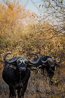 Garonga Safari Camp