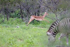 Garonga Safari Camp