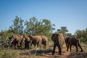 Garonga Safari Camp