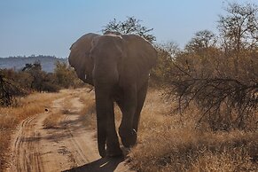 Garonga Safari Camp