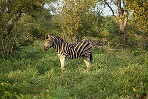 Garonga Safari Camp