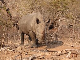 Kruger Park Tours