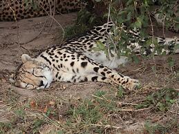 Kruger Park Tours