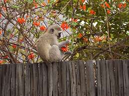 Kruger Park Tours
