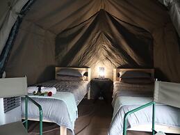 Kruger Park Tours