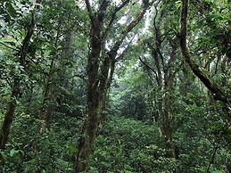 Burbi Lake Lodge Monteverde