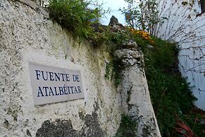 Castaño Real